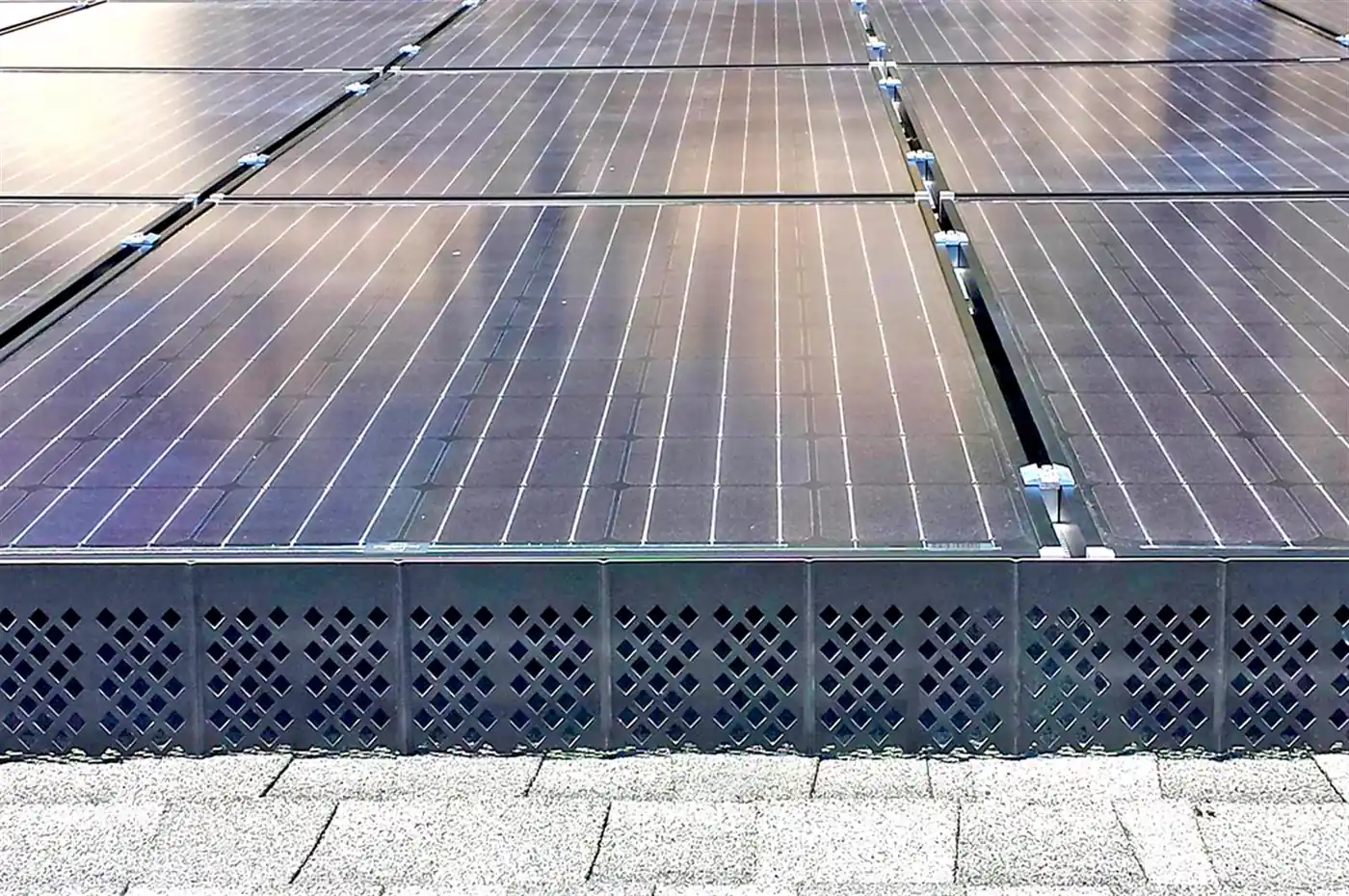 Critter guard mesh installed around the perimeter of a rooftop solar array
